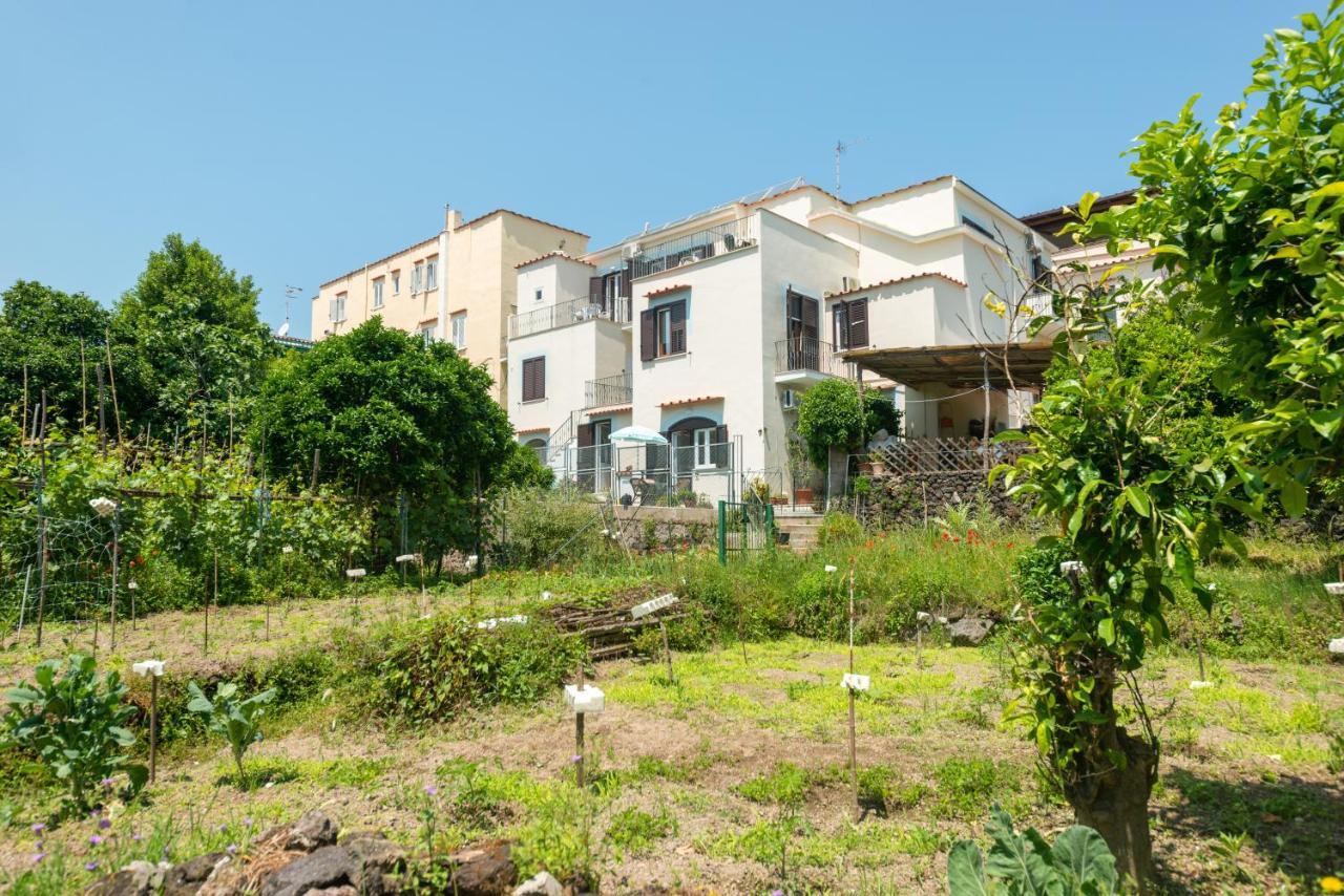Villa Dei Sogni - Aparthotel Ischia Ponte Экстерьер фото